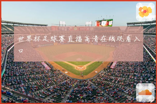 世界杯足球赛直播高清在线观看入口