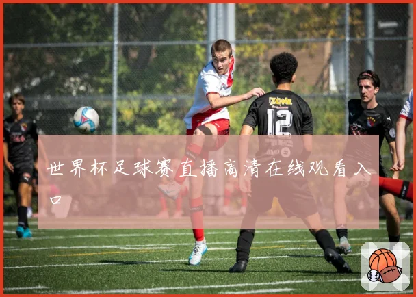 世界杯足球赛直播高清在线观看入口