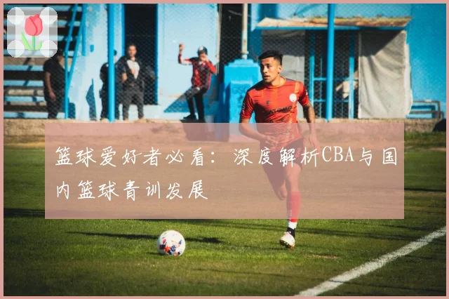 篮球爱好者必看：深度解析CBA与国内篮球青训发展