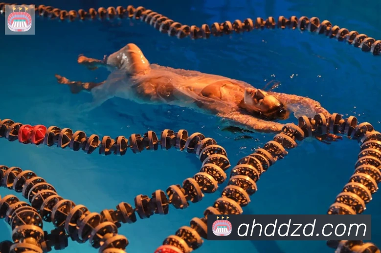 kaiyunAPP 高清赛事图